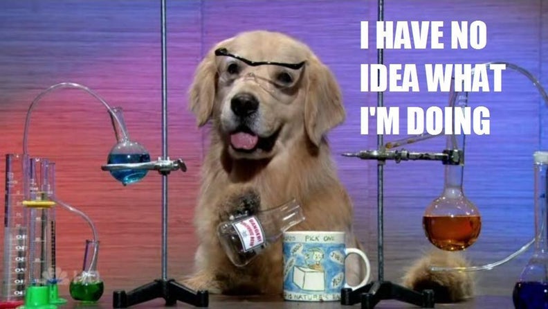 A picture of a dog behing chemistry equipment with text ‘I have no idea what I’m doing’